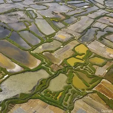 Maison accueillante à Guérande, 54 m² avec jardin Guérande